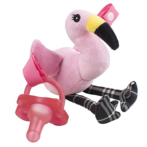 Book Cover Dr. Brown's Lovey Pacifier and Teether Holder, Flamingo with Pink, 0 Months+