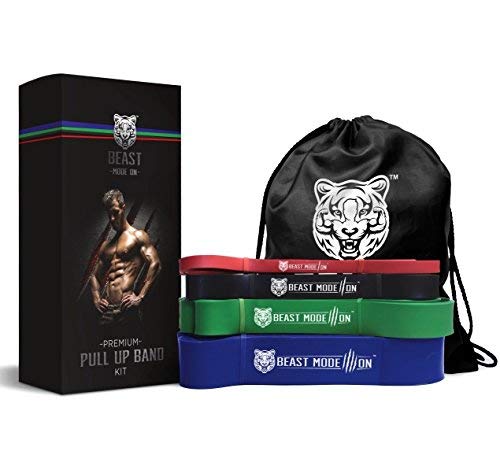 BEAST MODE ON Premium Pull up Bands | Pull up Assistance Bands | Extra Durable Resistance Bands for Pull ups Stretching Resistance Exercise | Single Band or Set of 4 Bands | Free e-Guide Included