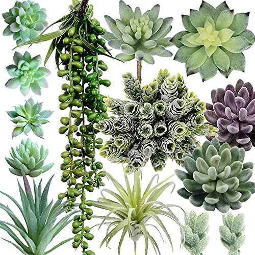 14 Pcs Assorted Artificial Succulents Plants Unpotted Green Hops String of Pearls Echeveria Air Plant Picks Fake Succulents Bulk for Succulent Garden Arrangement Centerpiece Indoor Outdoor Home Decor
