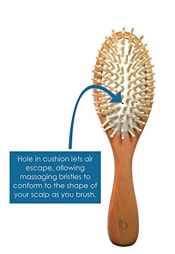 Oval Paddle Brush, 2 Pack, Massage Pins Brush, Detangling Brush by Better Beauty Products, Professional Salon Brushes, 100% Natural Wood Base and 100% Wood Scalp Massaging Bristles