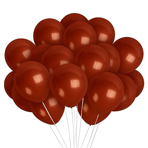 Treasures Gifted Dark Brown Balloons - Mocha Brown Matte Balloons - Dark Tan Balloons, 12 Inch Balloons - Chocolate Balloons - Large Balloons, Neutral Dark Beige - 72 Pack Balloons Bulk Pack