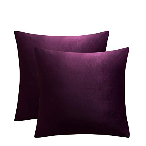 Book Cover JUSPURBET Decorative Velvet Throw Pillows Covers for Couch Bed Sofa,Pack of 2 Luxury Soft Cushion Cases,18x18 Inches,Eggplant Purple