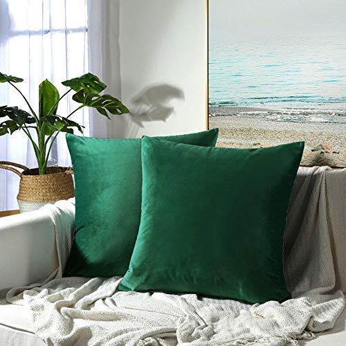 Book Cover JUSPURBET Christmas Decorative Velvet Throw Pillow Covers for Sofa Couch Bed,Pack of 2 Luxury Soft Cushion Cases,26x26 Inches,Dark Green