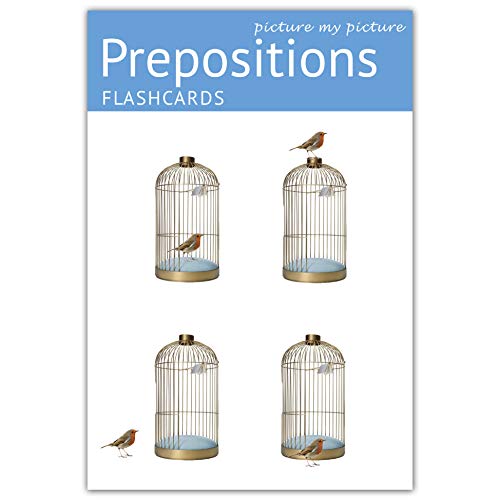 Book Cover Picture My Picture Prepositions Flash Cards | 40 Positional Language Development Educational Photo Cards | 5 Learning Games | Speech Therapy Materials, ESL Materials