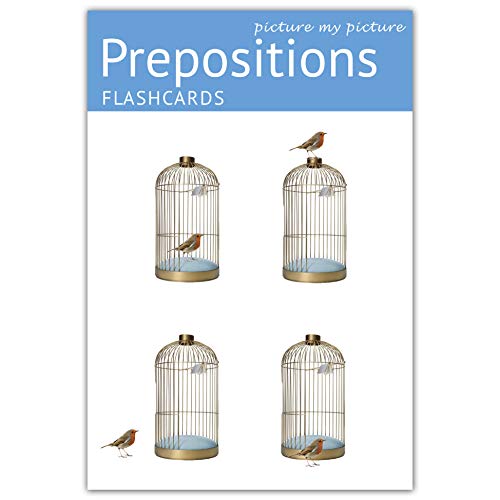 Picture My Picture Prepositions Flash Cards | 40 Positional Language Development Educational Photo Cards | 5 Learning Games | Speech Therapy Materials, ESL Materials