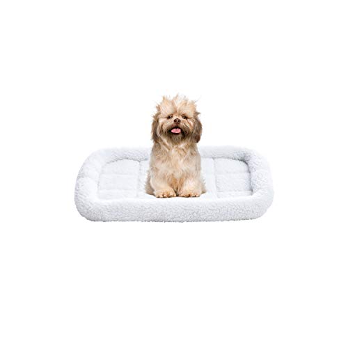 Amazon Basics Padded Pet Bolster Bed, White, 22 x 15 inches