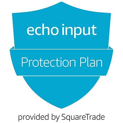 Book Cover 2-Year Accident Protection for Echo Input (2018 release)