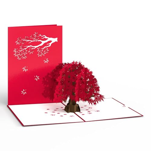 Lovepop Cherry Blossom Japanese Maple 3D Pop-Up Birthday Card - for Him, Her, Kids, Boys, Girls, Men, Women - Also Great for Valentine's Day, Anniversary - 5" x 7" - Envelope Included