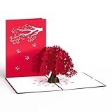 Lovepop Cherry Blossom Japanese Maple 3D Pop-Up Birthday Card - for Him, Her, Kids, Boys, Girls, Men, Women - Also Great for Valentine's Day, Anniversary - 5" x 7" - Envelope Included