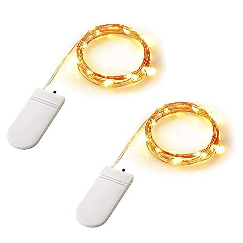 ECOWHO 2 Pack LED String Lights Battery Powered, Starry Fairy String Lights for Christmas Trees, Garden Plants, Weddings, Parties, Bedrooms (30 LEDs String Light Warm White)