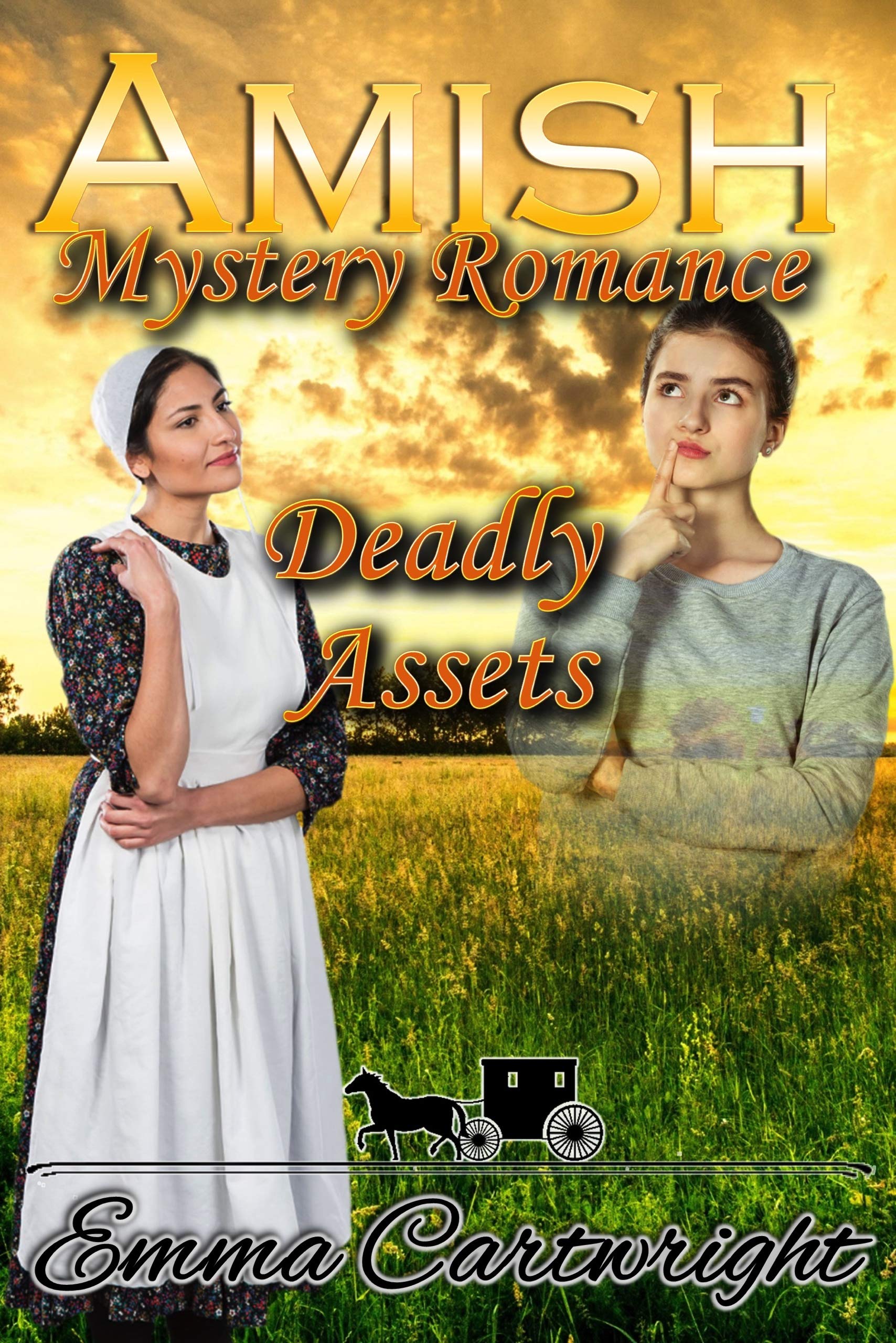 Book Cover Amish Deadly Assets