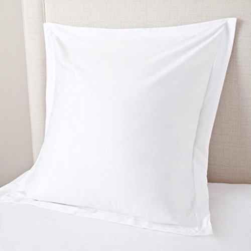 Vedanta Home Collection European Square Pillow Shams Set of 2 White 600 Thread Count 100% Natural Cotton Pack of Two Euro 22 x 22 Pillow Shams Cushion Cover, Cases Super Soft Decorative