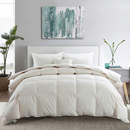 Book Cover APSMILE Premium Heavyweight Goose Down Comforter King for Colder Climates/Sleeper - 100% Organic Cotton, 650FP 64 Oz Quilted Optimum Warmth Thick Duvet Insert (106x90 Inches - Ivory White)