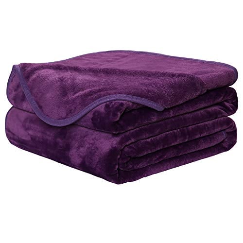 Book Cover EASELAND Soft Blanket Queen Size Winter Warm Fuzzy Microplush Lightweight Thermal Fleece Blankets for Couch Bed Sofa,90x90 inches,Purple