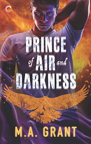 Book Cover Prince of Air and Darkness: A Gay Fantasy Romance (The Darkest Court Book 1)