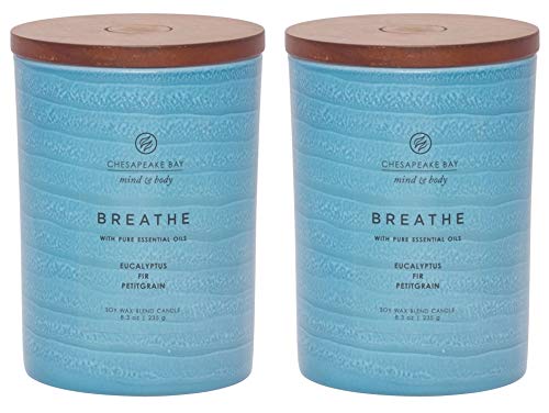 Chesapeake Bay Candle Mind & Body Serenity Scented Candle, Breathe with Pure Essential Oils (Eucalyptus, Fir, Petitgrain), Medium, 2 Count