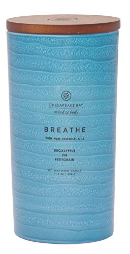Chesapeake Bay Candle Mind & Body Serenity Scented Candle, Breathe with Pure Essential Oils (Eucalyptus, Fir, Petitgrain), Large