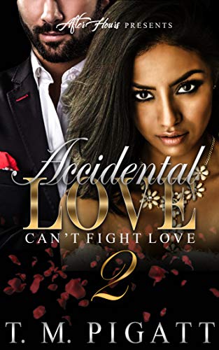 Book Cover Accidental Love 2