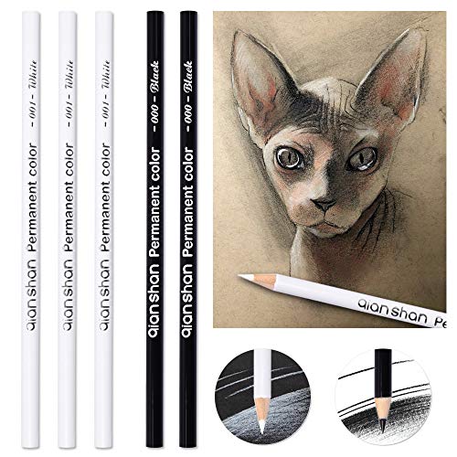 5Pcs Black White Color Pencils - Permanent Color Drawing Pencil Oil-Based Wooden Colored Pencils for Artist and Beginner Art Projects, 2 Colors of 3 White, 2 Black