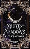 Court of Shadows (Shadow Fae Book 1)