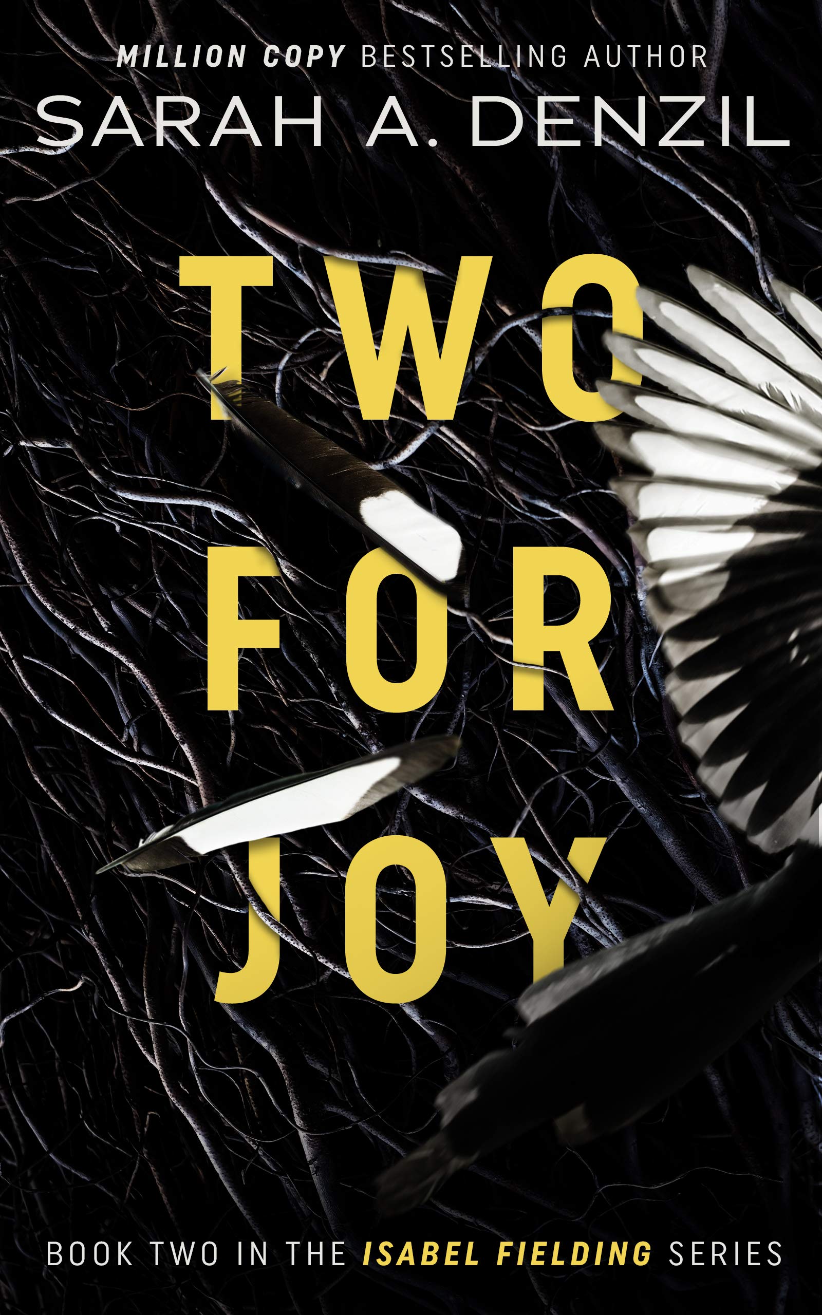 Book Cover Two For Joy (Isabel Fielding Book 2)