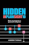 Hidden In Plain Sight 10: How To Program A Quantum Computer