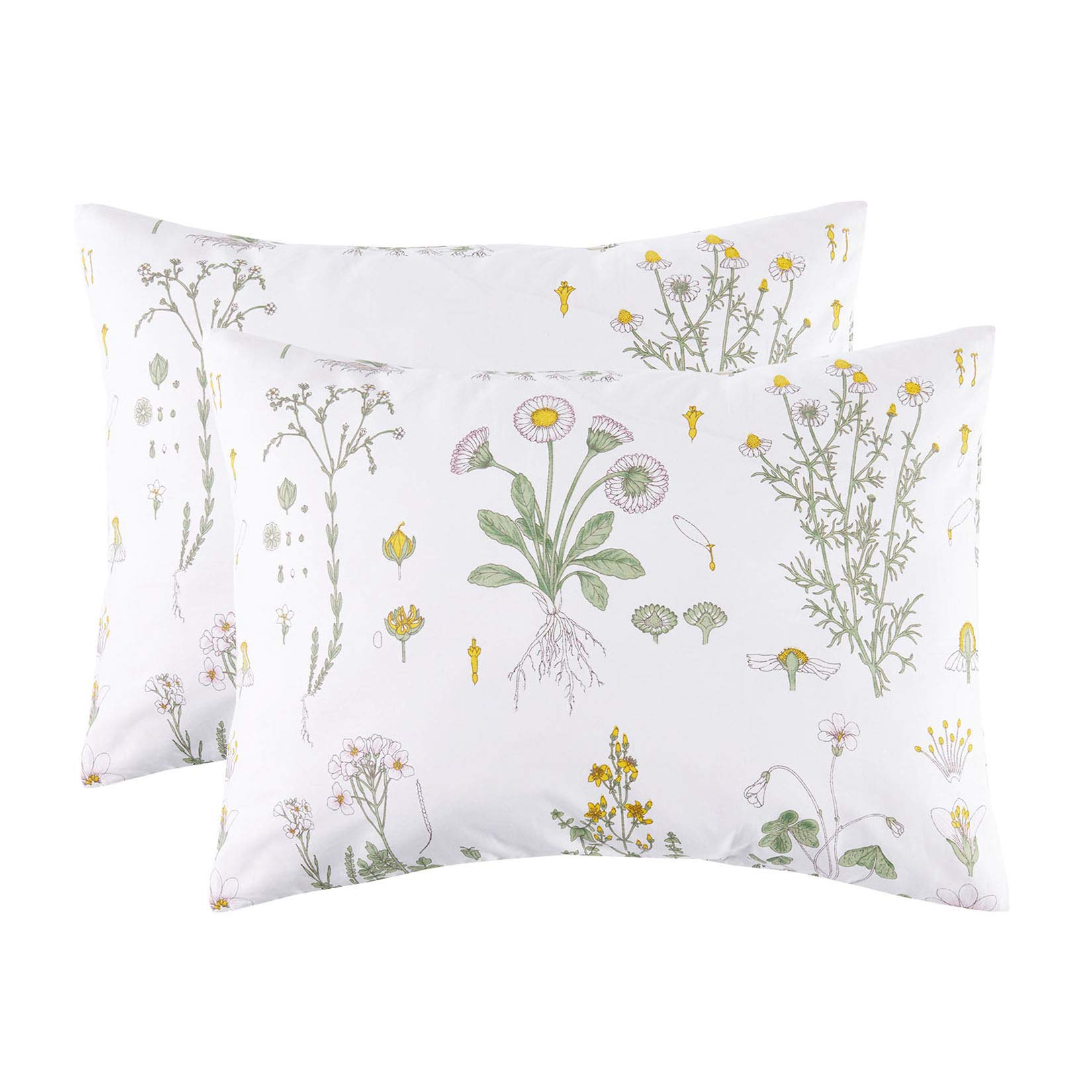 Book Cover Wake In Cloud - Pack of 2 Pillow Cases, 100% Cotton Pillowcases, White with Yellow Botanical Flowers Green Leaves Floral Garden Pattern Printed (Standard Size, 20x26 Inches)