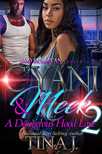 Book Cover C'Yani and Meek 2: A Dangerous Hood Love