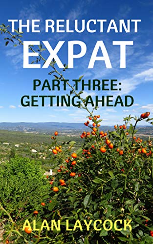 Book Cover The Reluctant Expat: Part Three - Getting Ahead