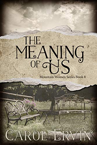 Book Cover The Meaning of Us (Mountain Women Series Book 8)
