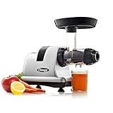 Omega Cold Press Juicer Machine, Vegetable and Fruit Juice Extractor and Nutrition System Makes Nut Milks Baby Food and Sorbets, Triple-Stage 80-RPM Slow Masticating Juicer, 200-Watts, Silver