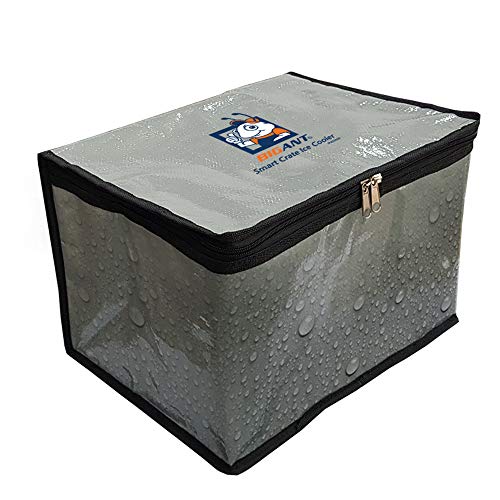 BIGANT Smart Crate Ice Cooler â€“ Portable Insulated Bag for Camping, Groceries, Travel, Beach, and more. Collapsible Chest Storage for Food and Drinks