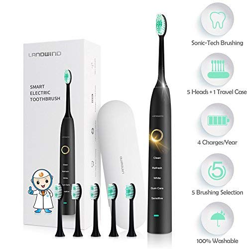 Sonic Toothbrush, LANDWIND Electric Toothbrush with 5 Brushing Heads, USB Charging, Smart Timer, 4 Charges for 1 Year, 5 Modes, IPX7 Waterproof for Unisex Adults (Black)