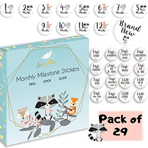 Book Cover Baby Monthly Stickers - Baby Milestone Stickers for Perfect Memories - Set of 29