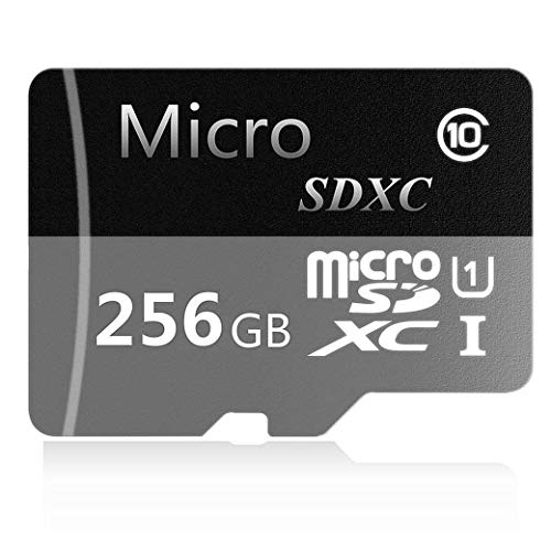 Book Cover Micro SD SDXC Card 256GB High Speed Class 10 Memory Micro SD Card with SD Adapter