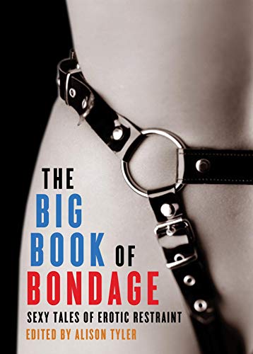 Book Cover The Big Book of Bondage: Sexy Tales of Erotic Restraint