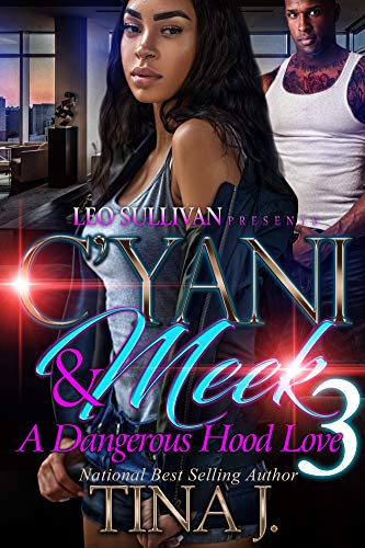 Book Cover C'Yani and Meek 3: A Dangerous Hood Love