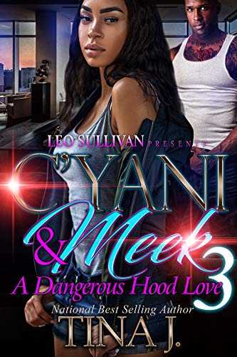 C'Yani and Meek 3: A Dangerous Hood Love