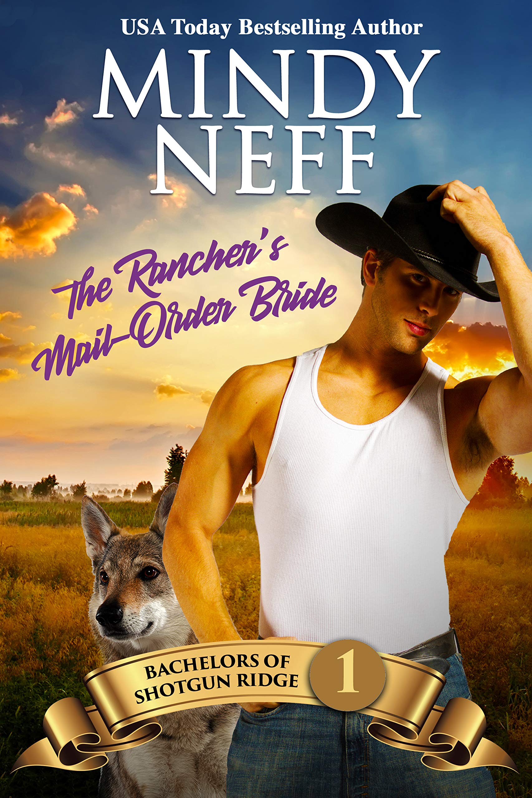 Book Cover The Rancher's Mail-Order Bride: Small Town Contemporary Romance (Bachelors of Shotgun Ridge Book 1)
