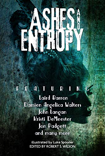 Book Cover Ashes and Entropy