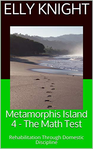 Book Cover Metamorphis Island 3 - The Math Test: Rehabilitation Through Domestic Discipline