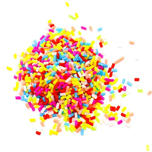 Timoo Fake Sprinkles, Fake Candy Decorations for Slime, Crafting, Clay Projects, 3.5 oz, Assorted Colors