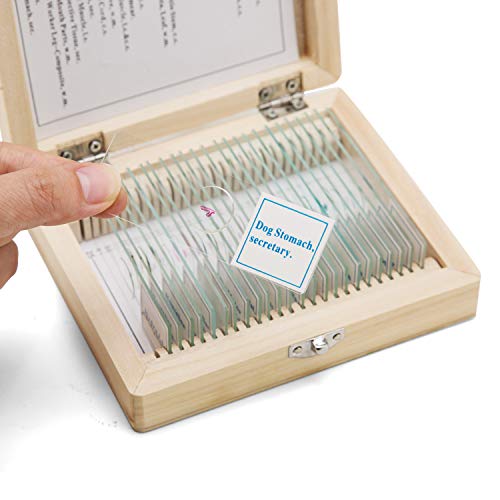 SWIFT Optical Assorted Specimen Collection of Prepared Microscope Slides Glass Slide with Wooden Storage Case 25pcs