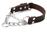Mighty Paw Martingale Dog Collar - No Pull Design - Stainless Steel Chain - Limited Chain Cinch Training - Brown Leather Martingale Training Collar - Medium Size