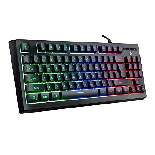 Book Cover Giixer RGB Gaming Keyboard, TKL Keyboard LED Backlit Illuminated Computer Keyboard USB Wired Membrane Keyboard with Water-Resistant and Adjustable Lighting for PC Laptop Gamers, Black (RGB 87key)