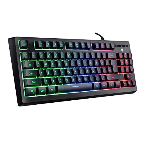 Giixer RGB Gaming Keyboard, TKL Keyboard LED Backlit Illuminated Computer Keyboard USB Wired Membrane Keyboard with Water-Resistant and Adjustable Lighting for PC Laptop Gamers, Black (RGB 87key)