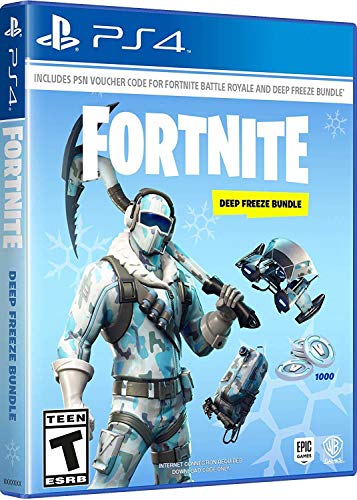 Book Cover Warner Bros Fortnite: Deep Freeze Bundle - PlayStation 4
