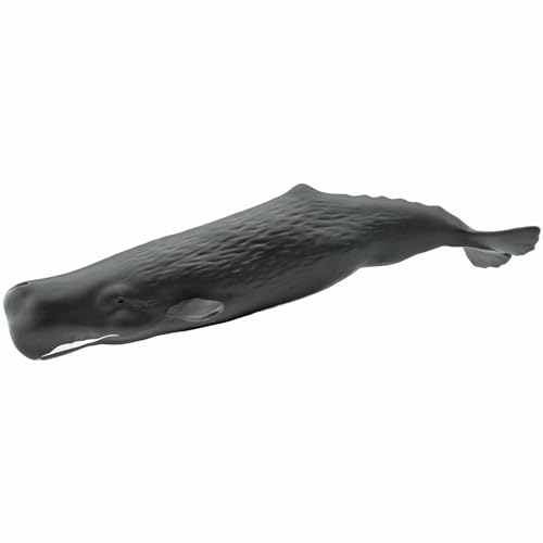 Safari Ltd. Wild Safari Sea Life - Sperm Whale - Quality Construction from Phthalate, Lead and BPA Free Materials - for Ages 3 and Up