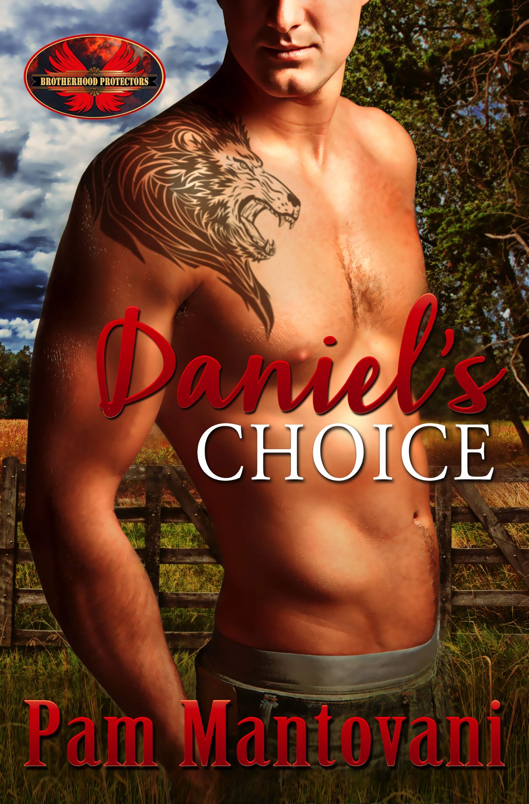 Book Cover Daniel's Choice: Brotherhood Protectors World