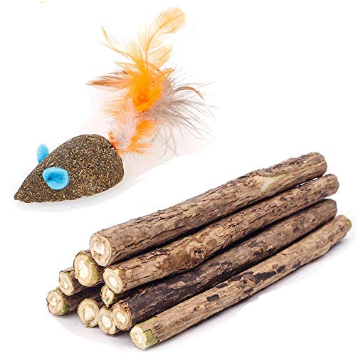 WoLover Cat Catnip Sticks Natural Matatabi Silvervine Sticks - Cleaning Teeth Molar Tools Kitten Cat Chew Toy Natural Catnip Mouse Cat Toy (10 PCS)